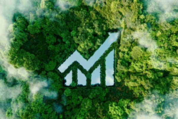 绿色金融怎么干？工商银行副行长王景武解读大行低碳答卷